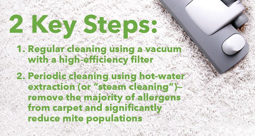 Wayne's Flooring - Carpet Can Help You Breathe Easier blog - 2 Key Steps