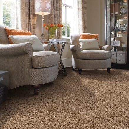 Wayne's Flooring - Loop Vs Twist Carpet blog - twist living room carpet